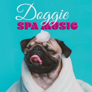 Doggie Spa Music: Bath & Care, Washing & Brushing