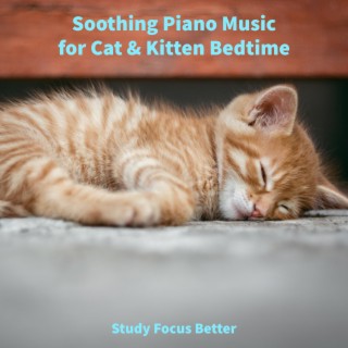 Soothing Piano Music for Cat & Kitten Bedtime