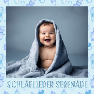 Schlaflieder Serenade: Melodien, die Sanfte Träume für Ihr Baby Einläuten