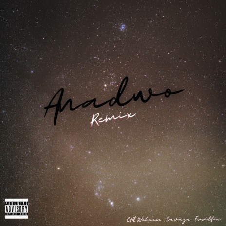 Anadwo (Remix) ft. Savaga & Essilfie | Boomplay Music