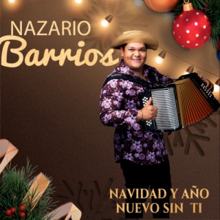 Navidad y Año Nuevo Sin Ti