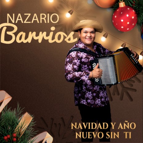 Navidad y Año Nuevo Sin Ti | Boomplay Music