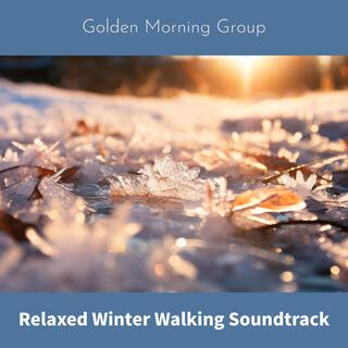 Relaxed Winter Walking Soundtrack