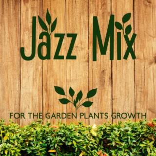 Jazz Mix For The Garden Plants Growth