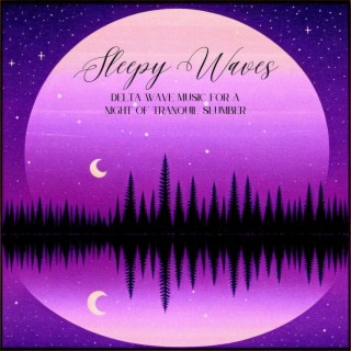 Sleepy Waves: Delta Wave Music for a Night of Tranquil Slumber