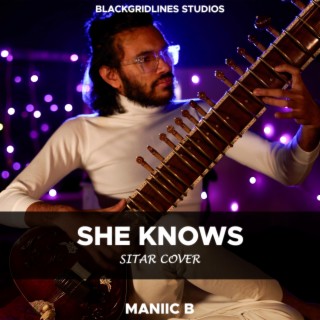 She Knows (Sitar Cover)