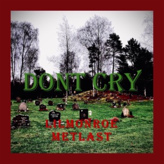 DONT CRY (prod. metlast)