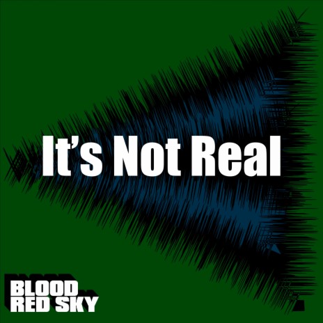 It's Not Real | Boomplay Music