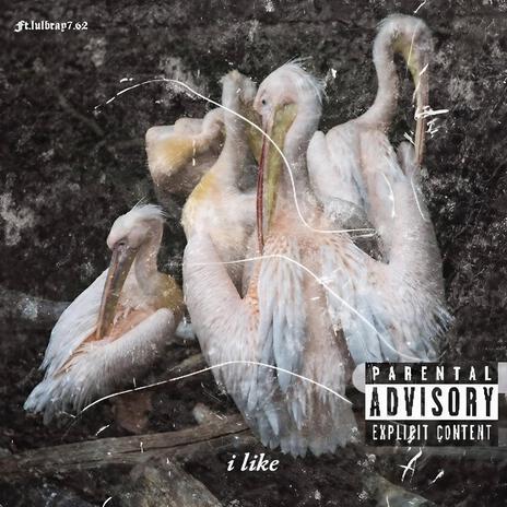 I like ft. luhbray7.62 | Boomplay Music