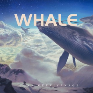 Whale