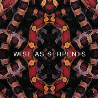 Wise as Serpents