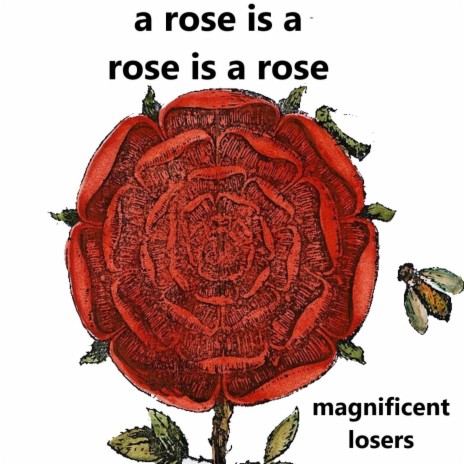 a rose is a rose is a rose