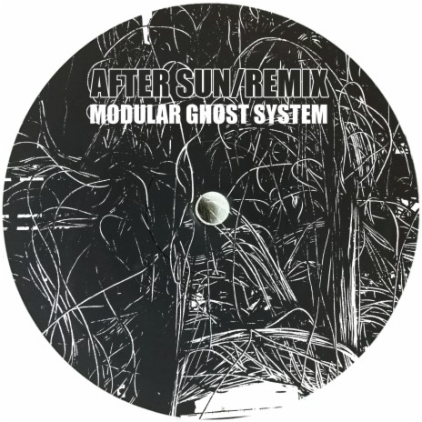 After Sun (Modular Ghost System Remix) ft. Modular Ghost System | Boomplay Music