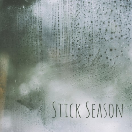 Stick Season | Boomplay Music