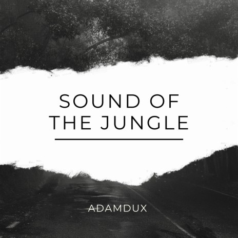 Sound Of The Jungle | Boomplay Music