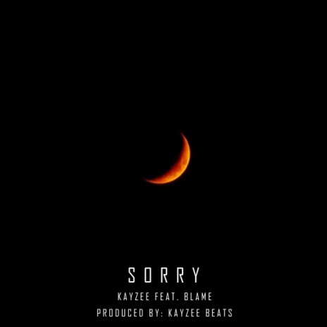 Sorry ft. Blame