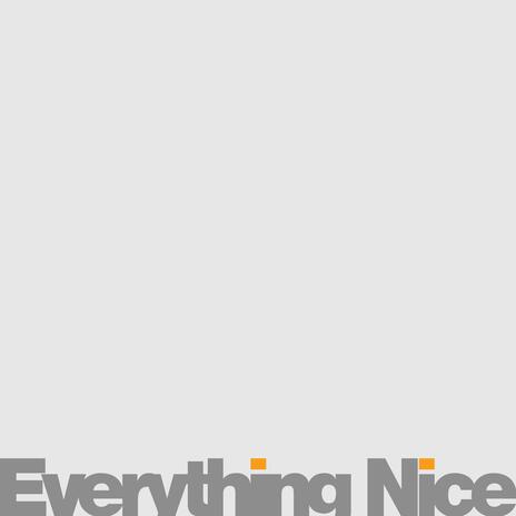 Everything Nice | Boomplay Music