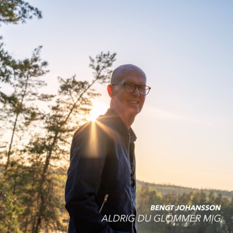 Aldrig du glömmer mig | Boomplay Music