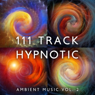 111 Track Hypnotic Ambient Music and White Noise for Deep Sleep, Relaxation Meditation: Asian Zen Spa, Massage, Chill, Relax, Wellness, Yoga, New Age Sounds Vol. 2