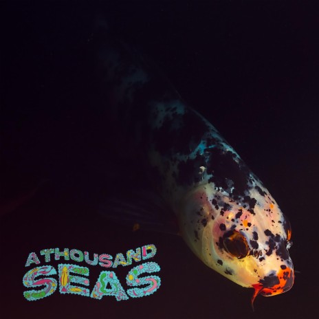 A Thousand Seas ft. Meltycanon & Chagiyobo | Boomplay Music