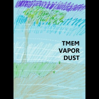 Vapor Dust