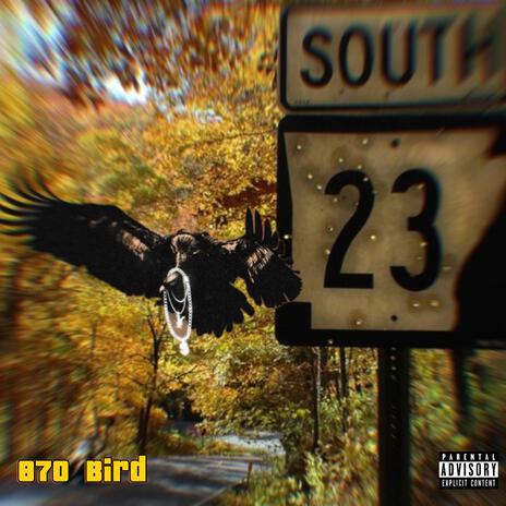 870 Bird ft. backdoorbird & B.I.G Obeezy | Boomplay Music