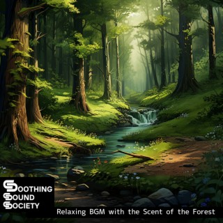 Relaxing BGM with the Scent of the Forest