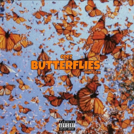 Butterflies ft. Latoya | Boomplay Music