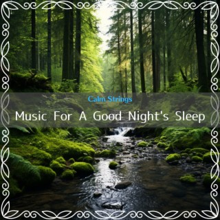 Music For A Good Night's Sleep