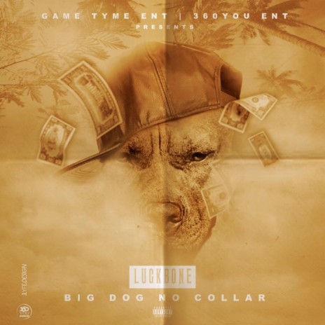 Big Dog No Collar | Boomplay Music