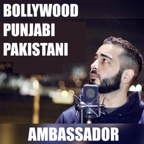 Bollywood Punjabi Pakistani | Boomplay Music