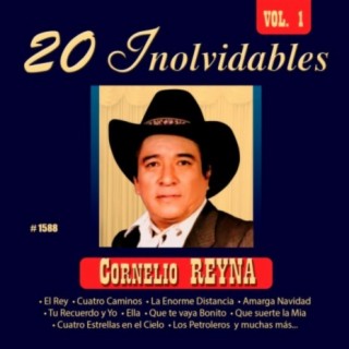 20 Inolvidables, Vol. 1