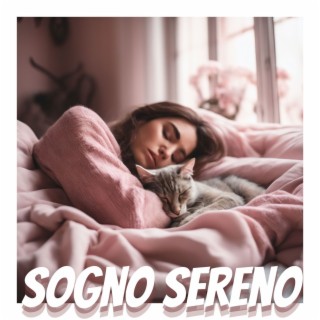 Sogno Sereno: Playlist che Accompagna il tuo Riposo con Note Soavi e Atmosfere Avvolgenti