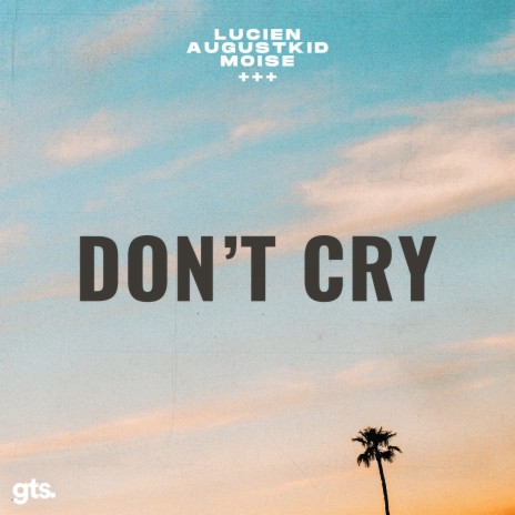 Don't Cry ft. AUGUSTKID & Moise | Boomplay Music