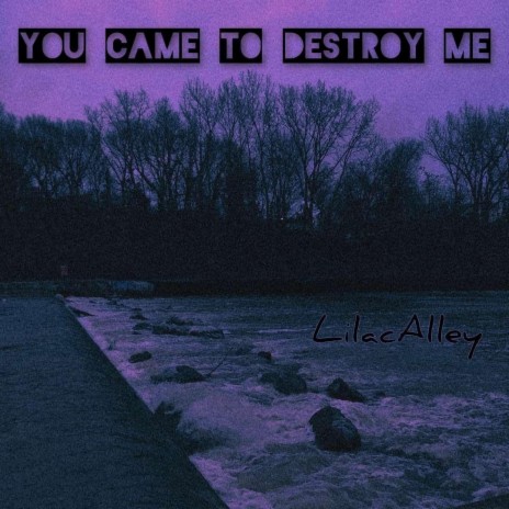 You Came To Destroy Me | Boomplay Music