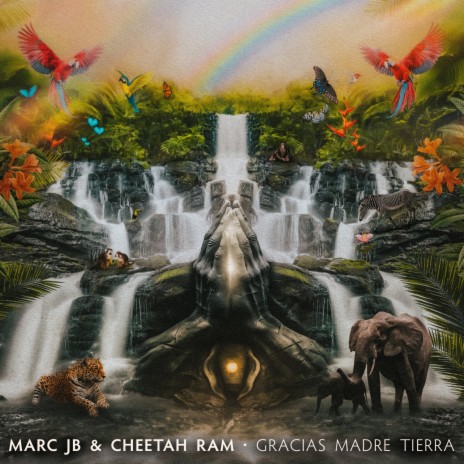 Gracias Madre Tierra (PACHIRA Remix) ft. Cheetah Ram | Boomplay Music
