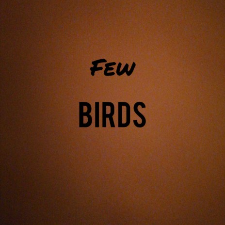 Birds | Boomplay Music