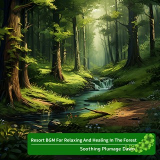 Resort BGM For Relaxing And Healing In The Forest