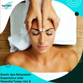 Exotic Spa Relaxation Experience with Peaceful Tunes, Vol. 6