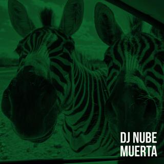 dj nube muerta