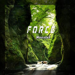 Force