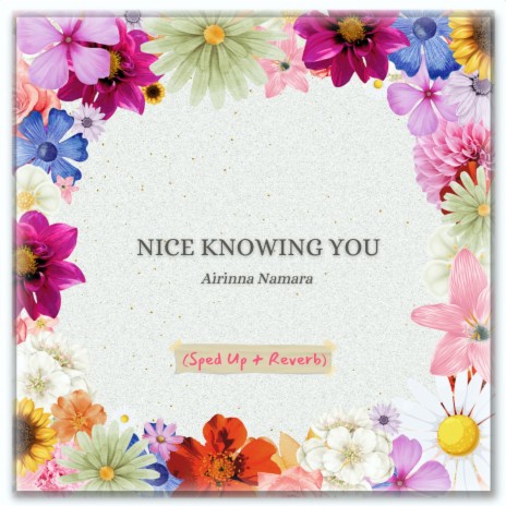 Nice Knowing You (sped up + reverb) | Boomplay Music