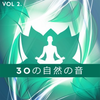 30の自然の音 Vol.2 - あなたの心と体をリラックス: 深い眠りのためのヨガ