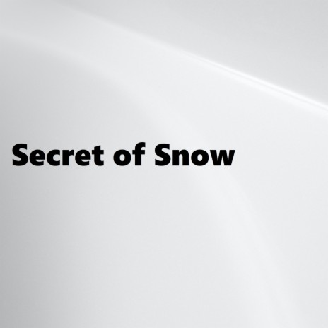 Secret of Snow | Boomplay Music