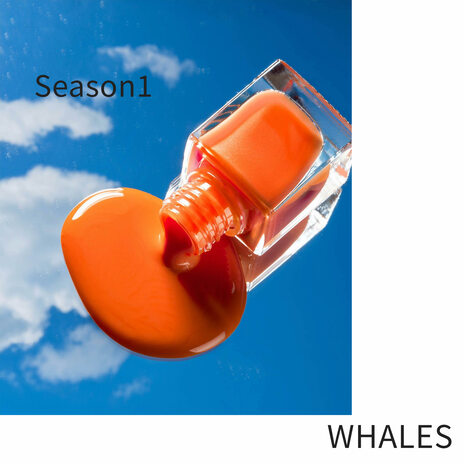 Whales 01