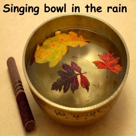 Tibetan Singing Bowl in the Rain