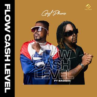 FLOW CASH LEVEL