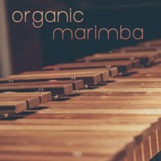 Organic Marimba