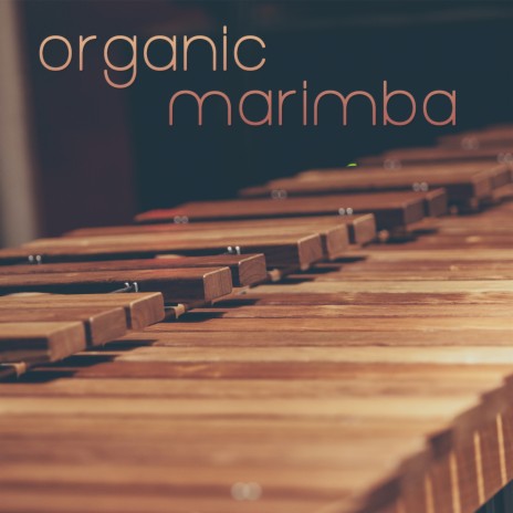 Marimba Meditation
