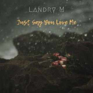 Landry M